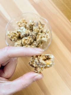 Peanut Butter Chocolate Chunk Nibbles 4.25oz Pouch