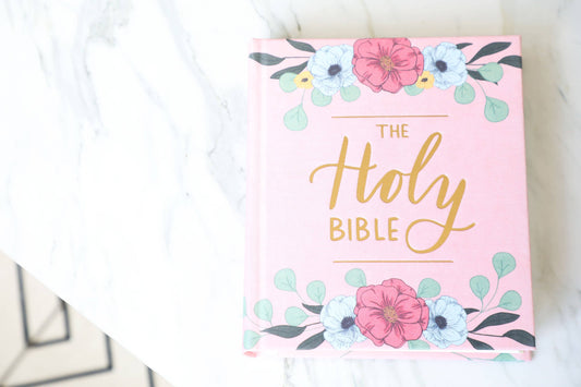 Hand Painted The Holy Bible - Blush, ESV Journaling Bible