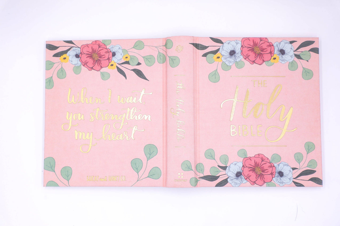 Hand Painted The Holy Bible - Blush, ESV Journaling Bible