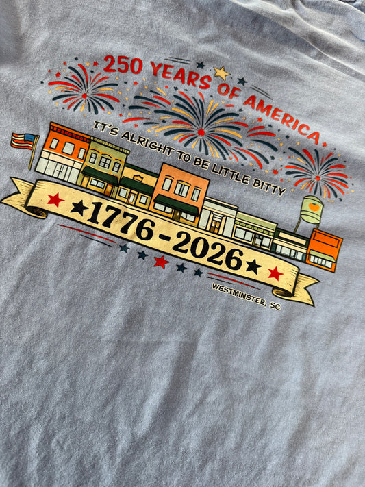 250th Birthday America Little Bitty T Shirt