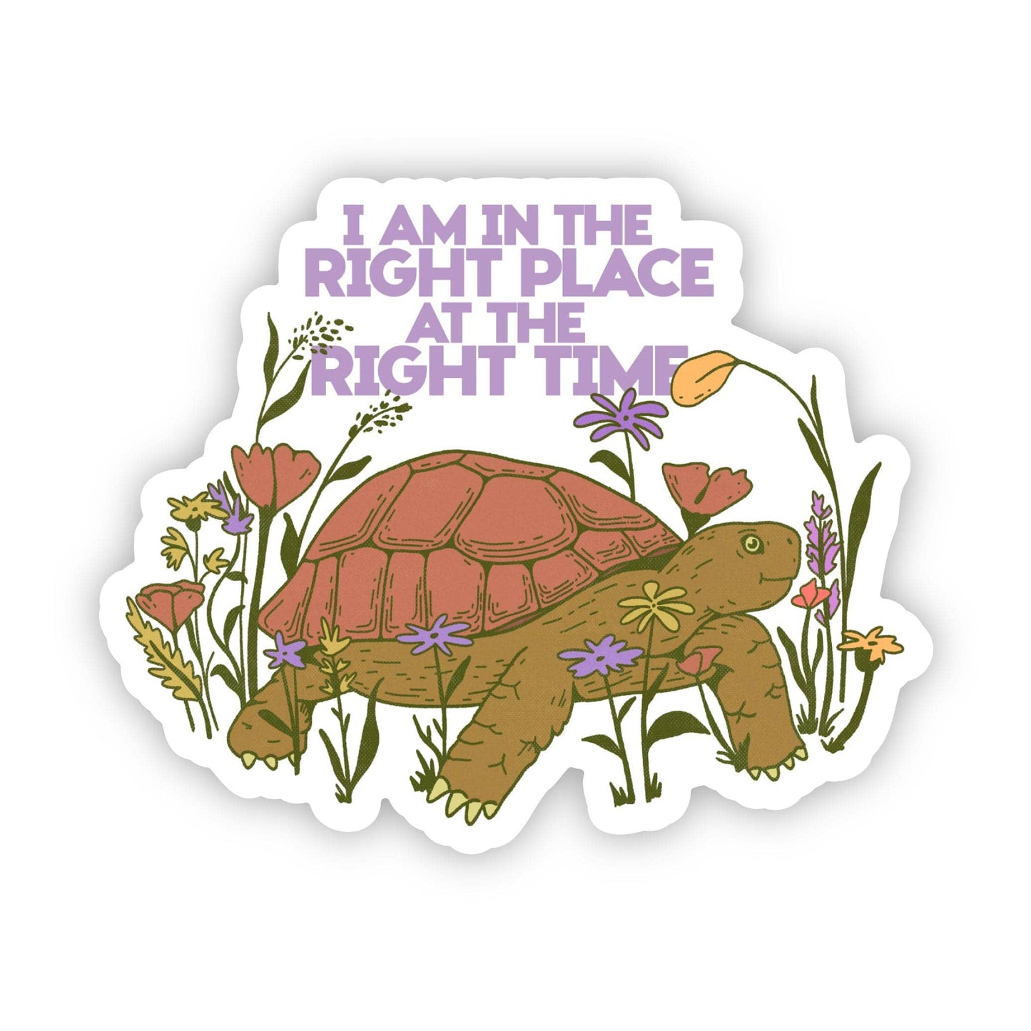 "I am in the right place at the right time" turtle sticker